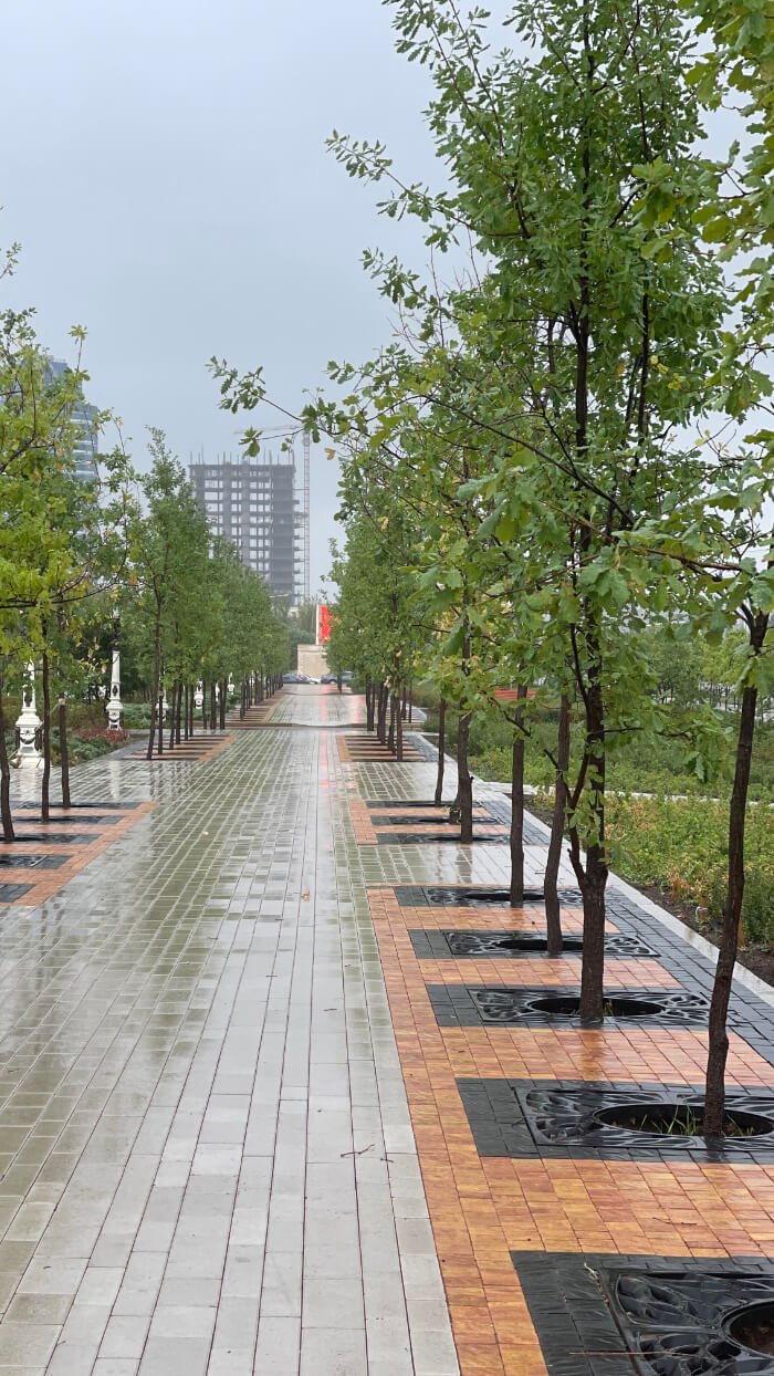 Приствольная решетка для дерева ZKING CRUST 1.2х1.2м Черная в Новороссийске фото