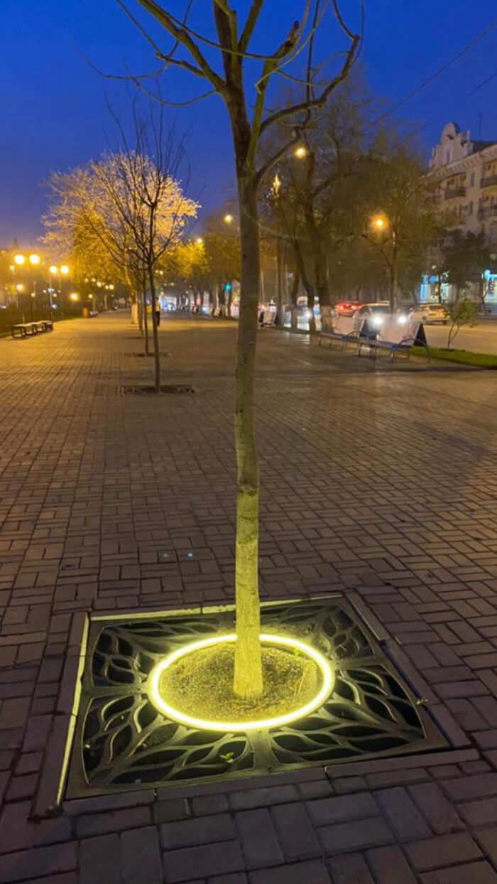 Приствольная решетка для дерева ZKING CRUST 1.2х1.2м Черная в Новороссийске фото